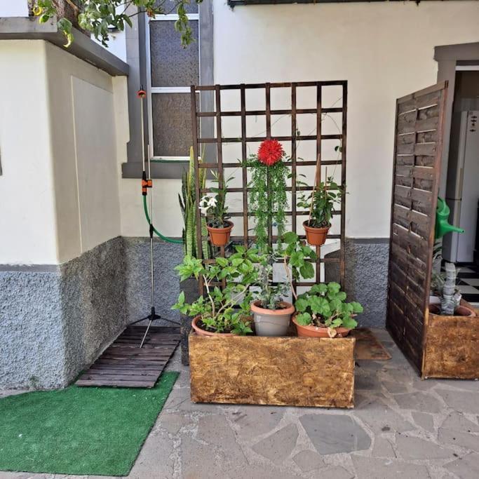 Chale Funchal - City View ภายนอก รูปภาพ